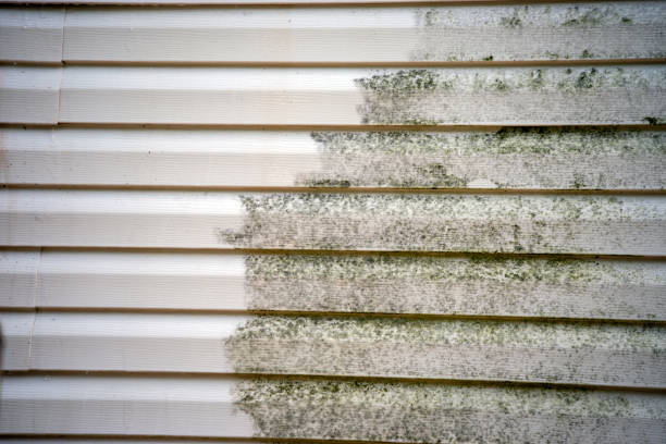 Best Shed Removal  in Messiah College, PA